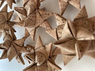 Julestjerne-bestilling