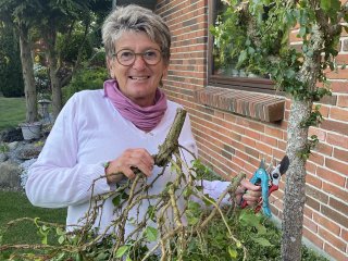 Korkegetrer og korkelme