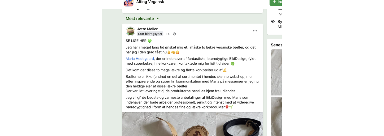 - ET BREDYGTIGT OG VEGANSK KORK-MATCH -