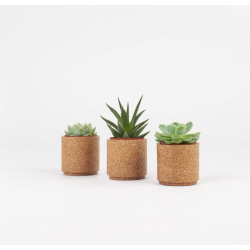 Blomsterskjulere i kork, mini, 3 stk i sampak