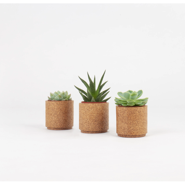 Blomsterskjulere i kork, mini, 3 stk i sampak