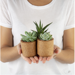 Blomsterskjulere i kork, mini, 3 stk i sampak