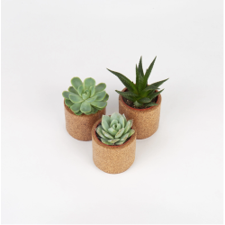 Blomsterskjulere i kork, mini, 3 stk i sampak