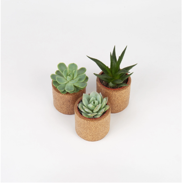 Blomsterskjulere i kork, mini, 3 stk i sampak