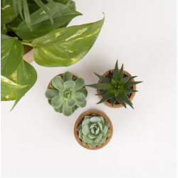 Blomsterskjulere i kork, mini, 3 stk i sampak