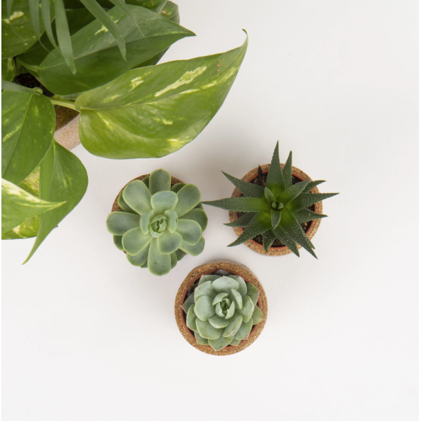 Blomsterskjulere i kork, mini, 3 stk i sampak