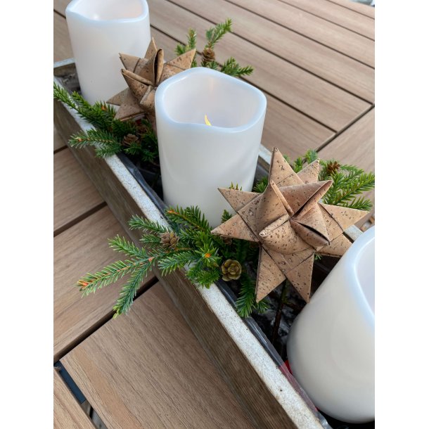 Eiki julestjerne i kork, "kmpe"