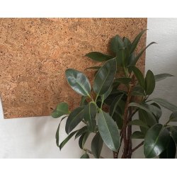 Korkplade i natur kork, v�gdekoration, opslagstavle