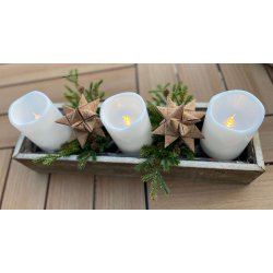 Eiki julestjerne i kork, "kmpe"