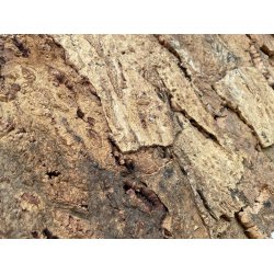 Korkplade til v�g, dekorativ og lydisolerende