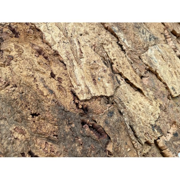 Korkplade til v�g, dekorativ og lydisolerende