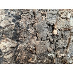 Korkplade til v�g, dekorativ og lydisolerende