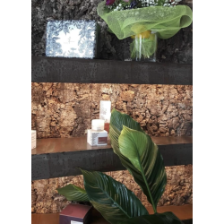 Korkplade til v�g, dekorativ og lydisolerende