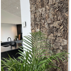 Korkplade til v�g, dekorativ og lydisolerende