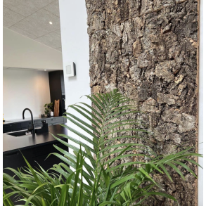 Korkplade til vg, dekorativ og lydisolerende