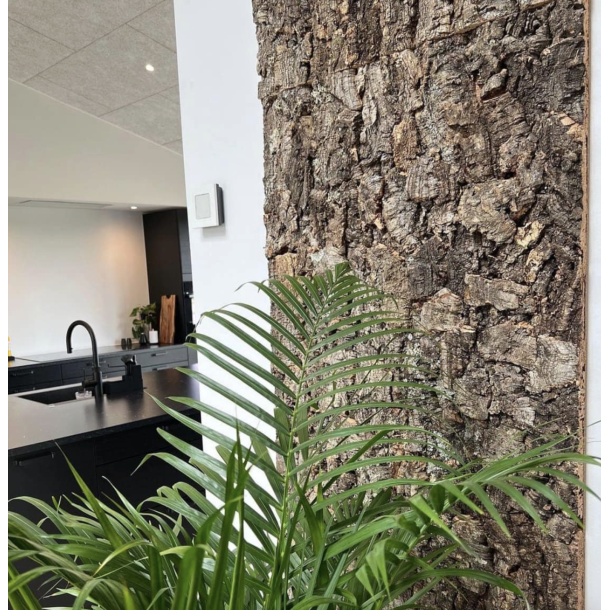 Korkplade til v�g, dekorativ og lydisolerende