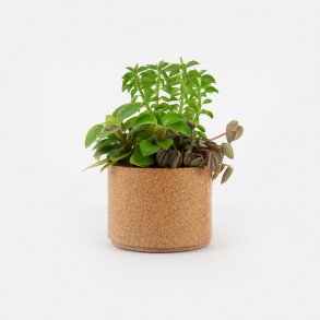 Blomsterskjuler i kork, mellem