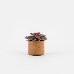 Blomsterskjuler i kork, lille