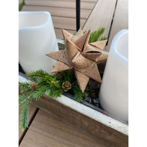 Eiki julestjerne i kork, 