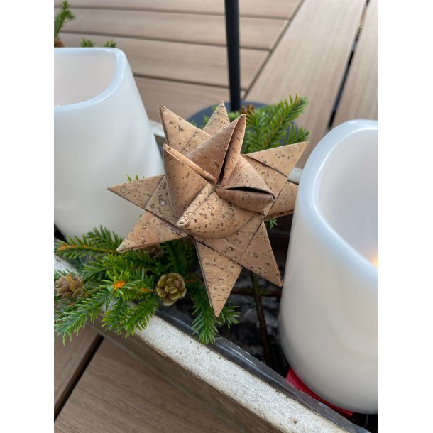 Eiki julestjerne i kork, "kmpe"