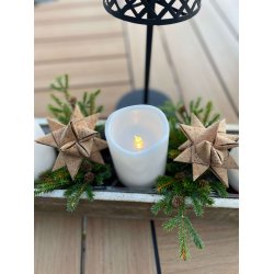 Eiki julestjerne i kork, "kmpe"