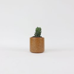 Blomsterskjuler i kork, mini