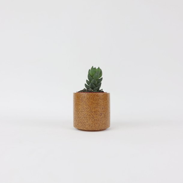 Blomsterskjuler i kork, mini